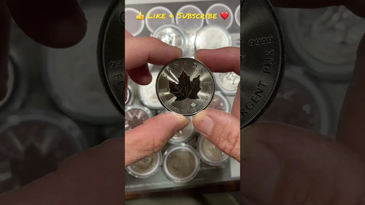 1 Oz Silver Canadian Maple Leaf 🍁 #Shorts #Silver #SilverStacking