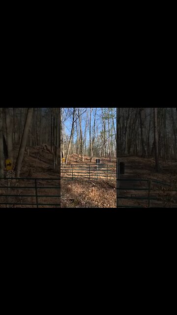 Police sirens 24-7 🚨 in rural BC Canada