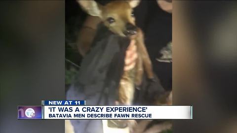 Three men and a baby ... fawn