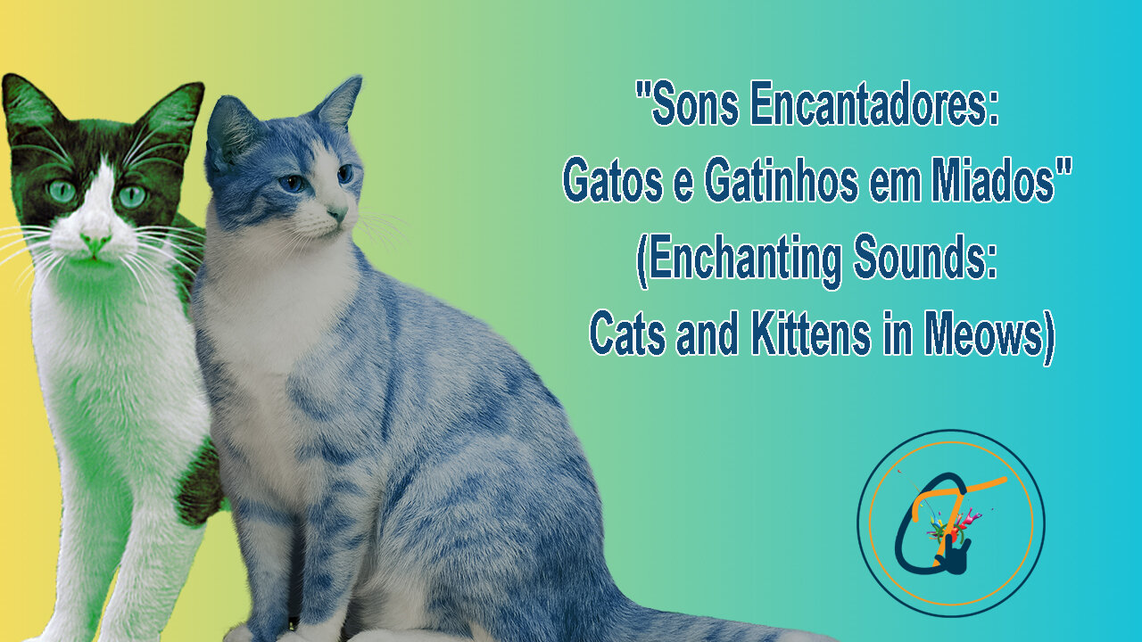 Sons Encantadores Gatos e Gatinhos em Miados Enchanting Sounds Cats and Kittens in Meows