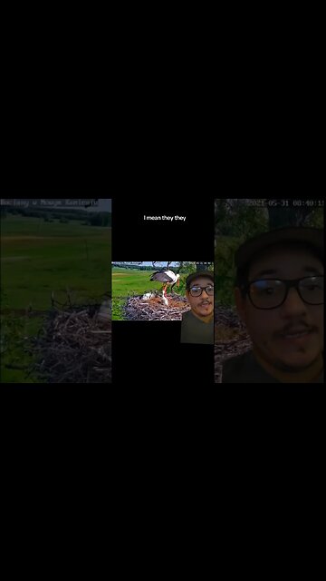 These bird parents are ruthless