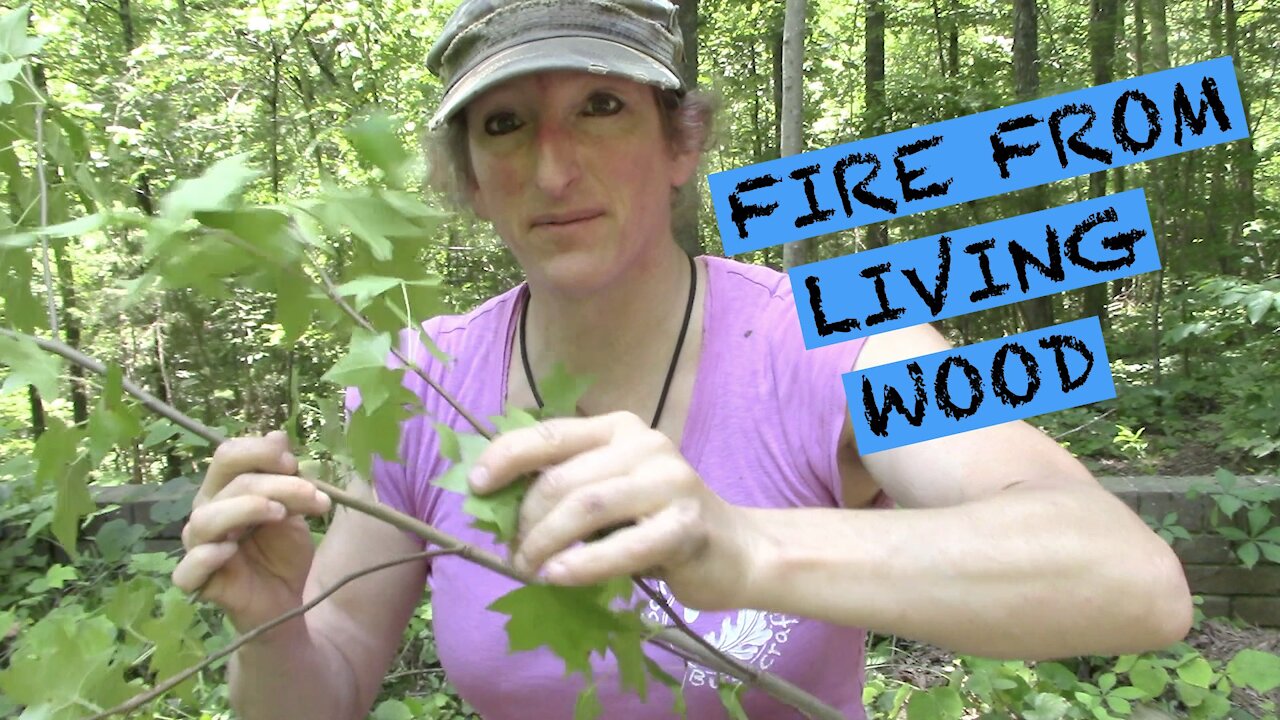 LIVING BRANCH FIRE