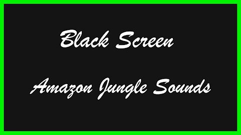 amazon jungle sounds - 10 hours