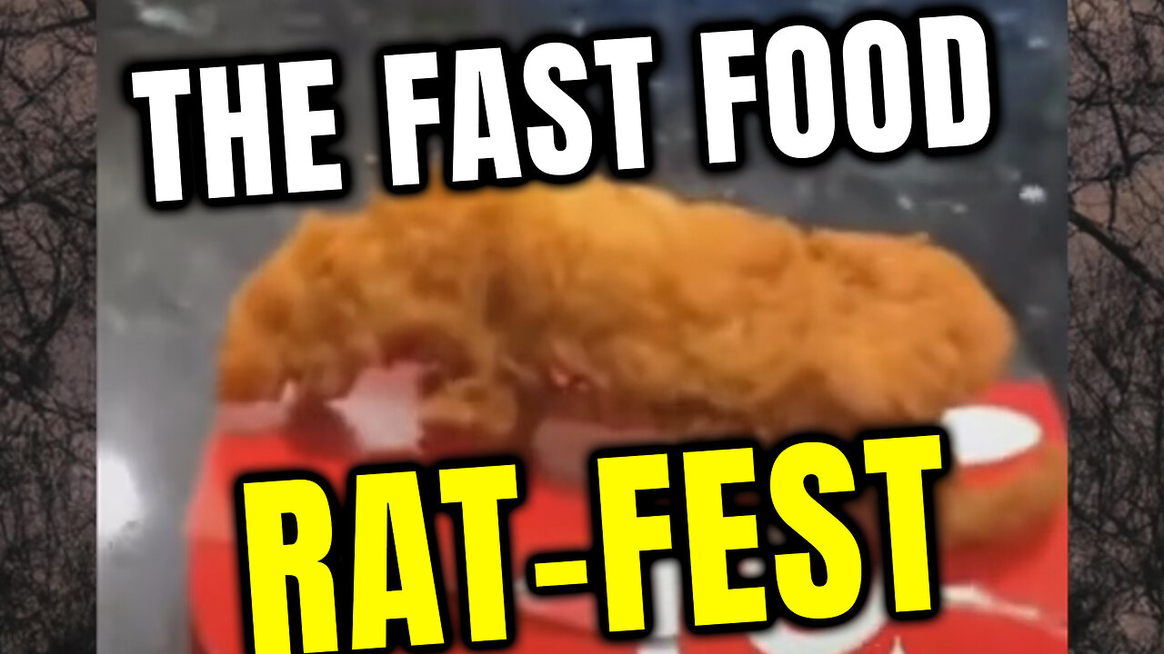 🐀Fast Food - Chick-fil-A - Popeyes - The Kingdom of RATS🐀