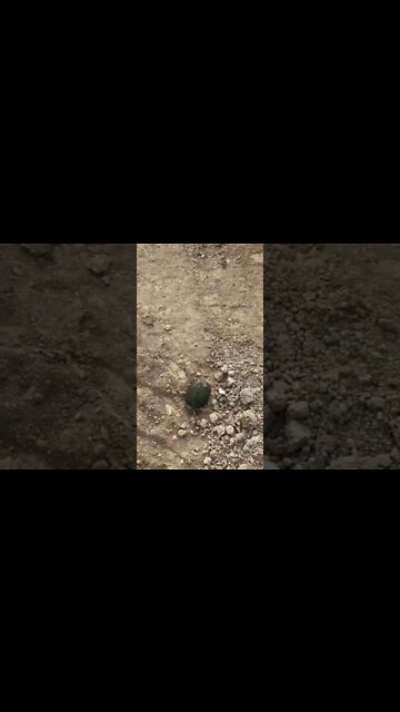 STOP DOING THIS! LEAVE NATURE ALONE