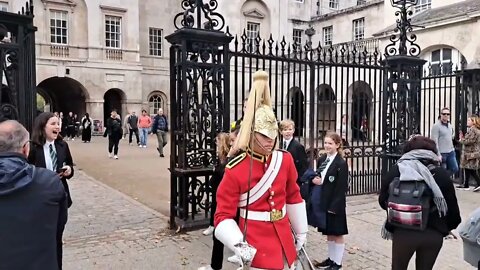 Make way. foot soldier #horseguardsparade
