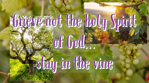 Morning by Morning Spurgeon Encouragement 21st November