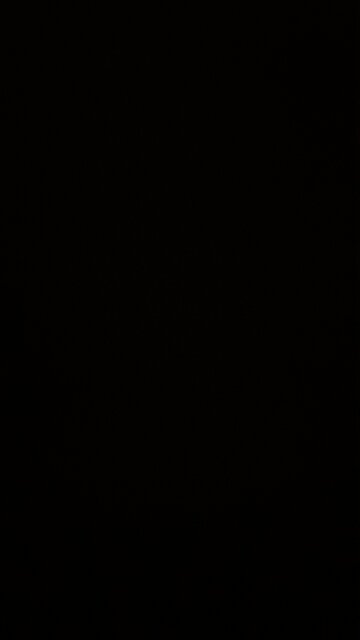 Vivek Ramaswamy in the cabinet