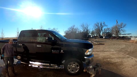 Washing Trucks and Scraping an Alley