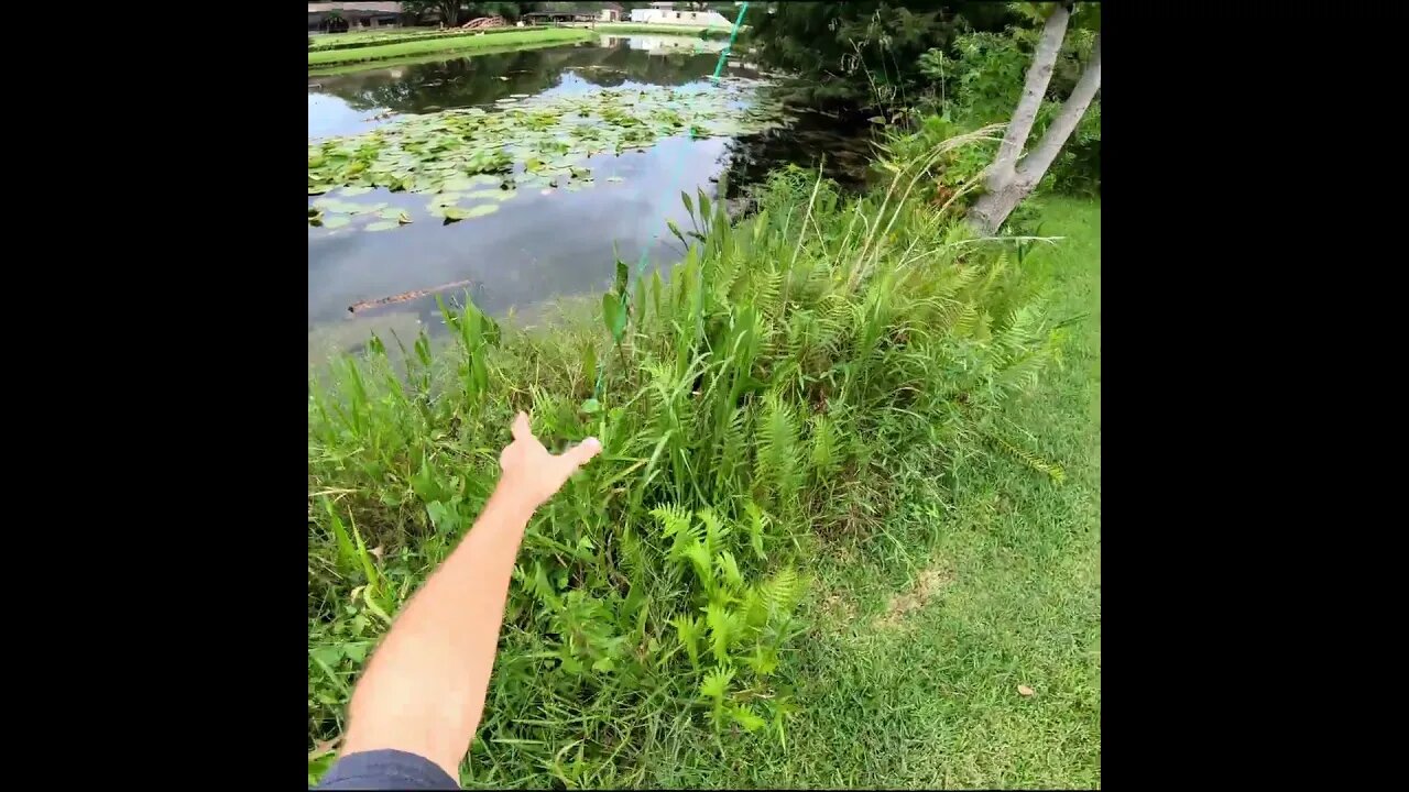 Fly Fishing in Florida