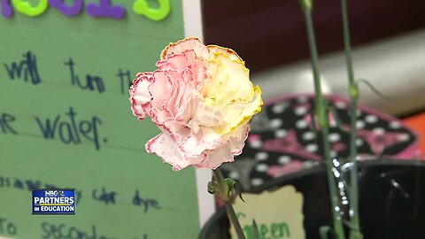 Partners in Education: Science Fair