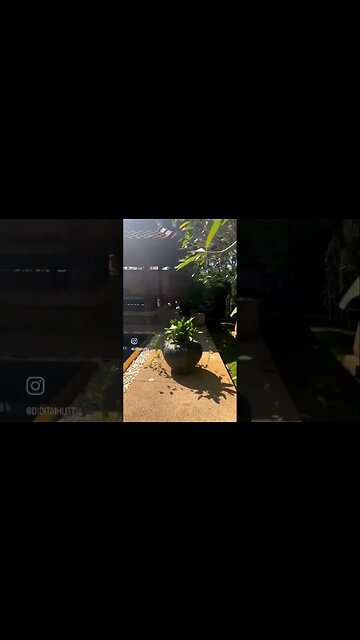 Bitcoin Flower Art #bitcoin #lifestyle #mindset