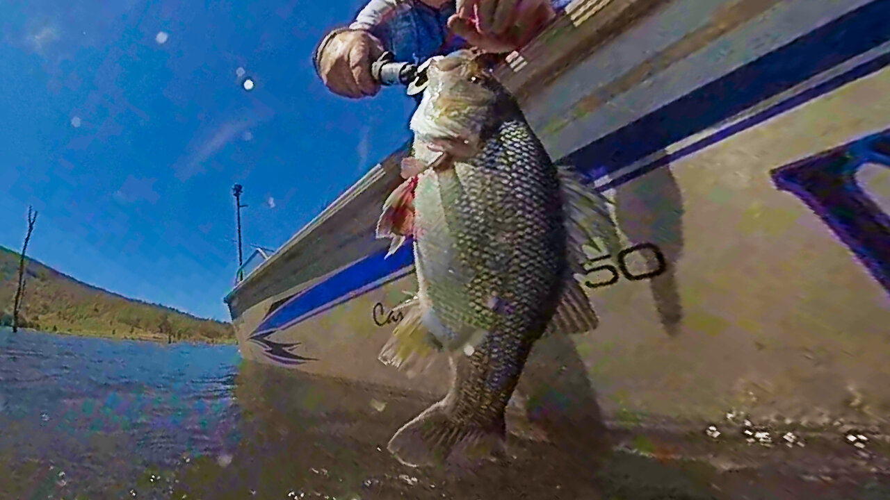 Mates First Freshwater Fish on Lures (Lure Fishing Somerset)