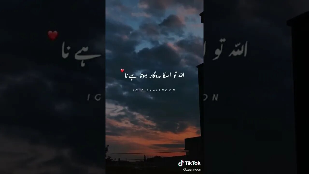 Find 'islamic video status' on TikTok TikTok Search