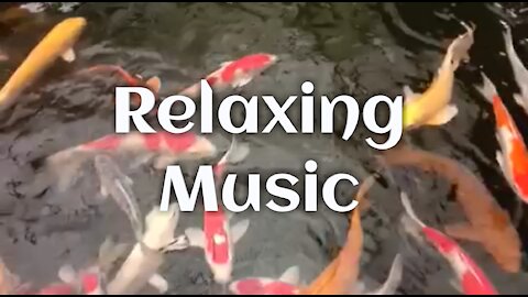 Relaxing Music