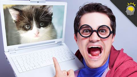 Stuff to Blow Your Mind: Can Cat Videos Make you Happy? - Science on the Web