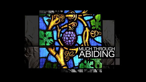 Much Through Abiding | Vladimir Savchuk