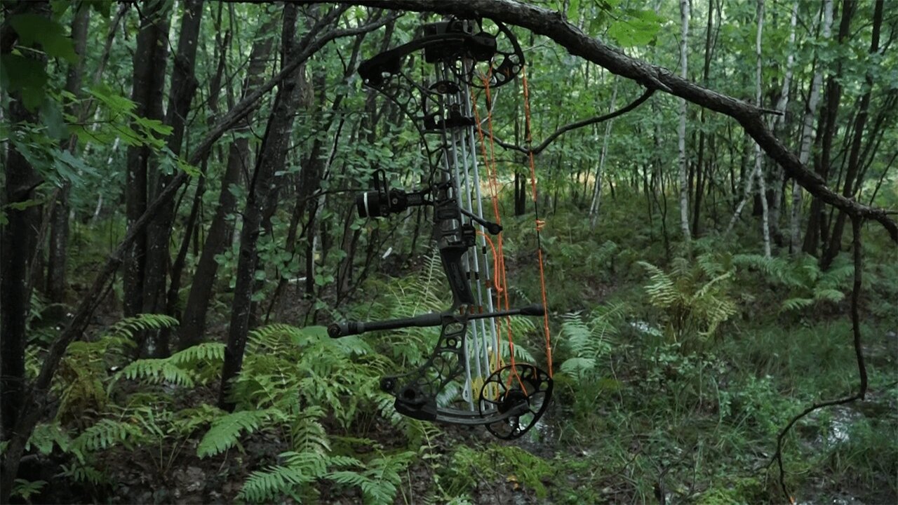 Mathews V3 Bow setup