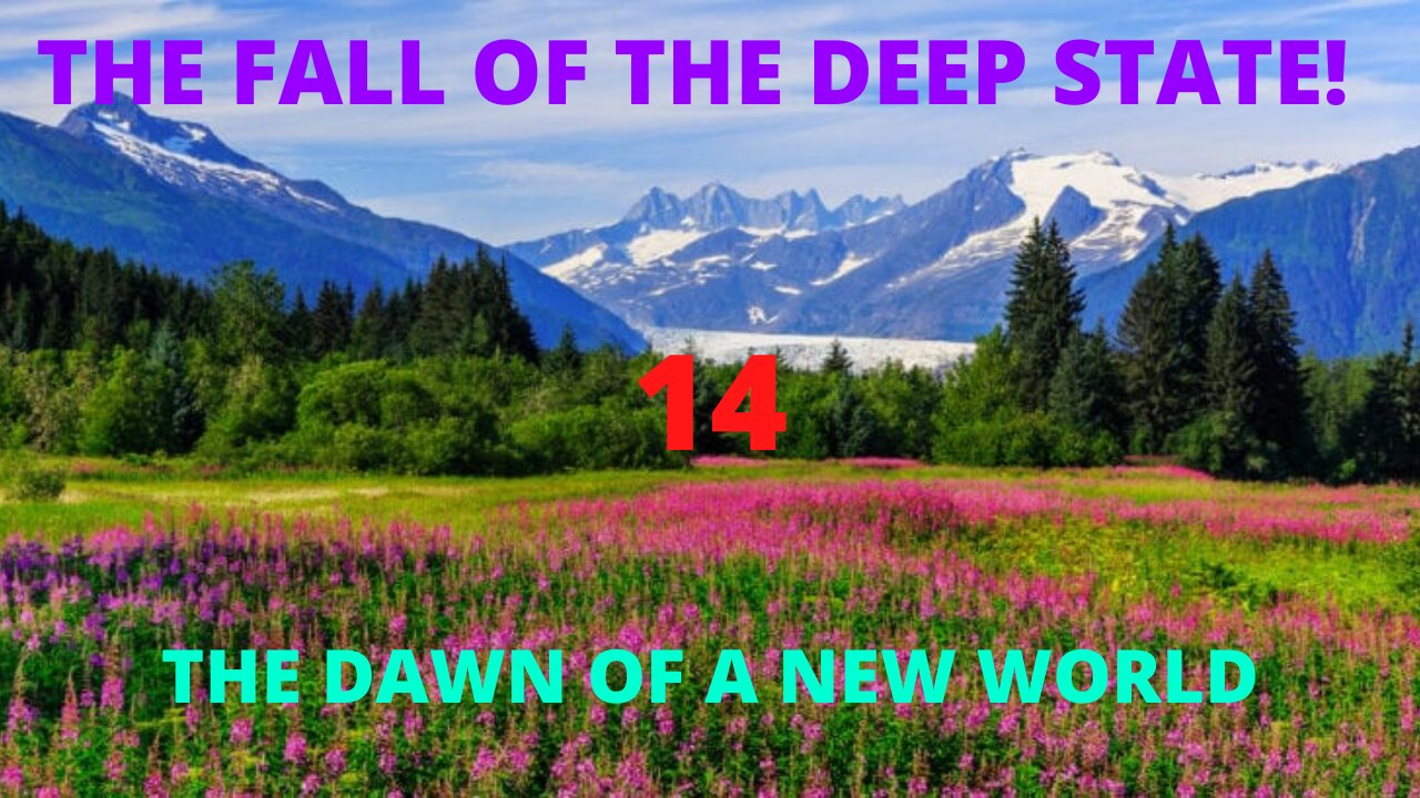 The Fall Of The Deep State Part 14