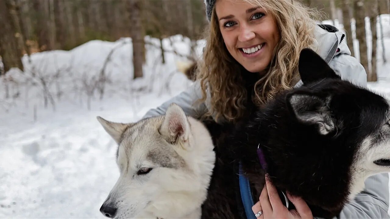 Winter in Haliburton Highlands | Winterdance Dogsled Tours & Heather Lodge Resort |