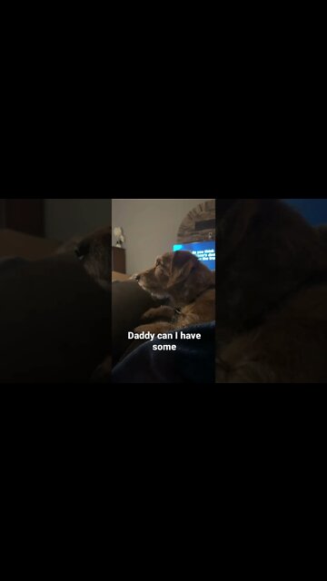 Daddy can I have some￼