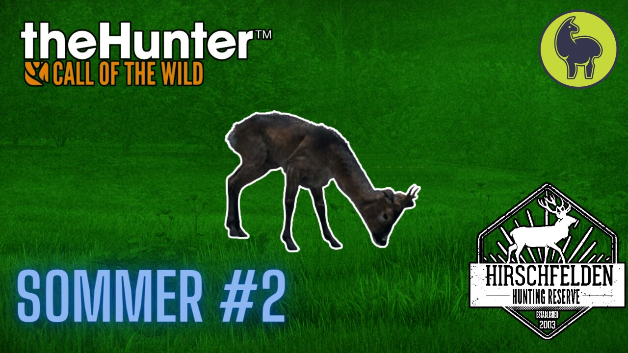 The Hunter: Call of the Wild, Sommer #2 Hirschfelden (PS5 4K)