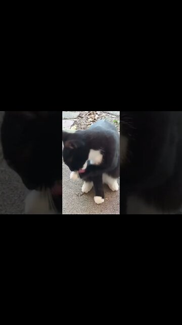 Gotta Have Clean Hands