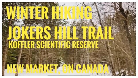 Jokers Hill Trail | Koffler Scientific Reserve | New Market, ON Canada | Hiking