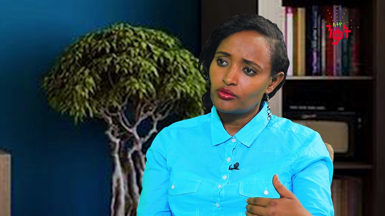 አገሪቷ የዘር ፖለቲካ መጋረጃ እና የቁማር ገበታ ሆናለች - መስከረም አበራ