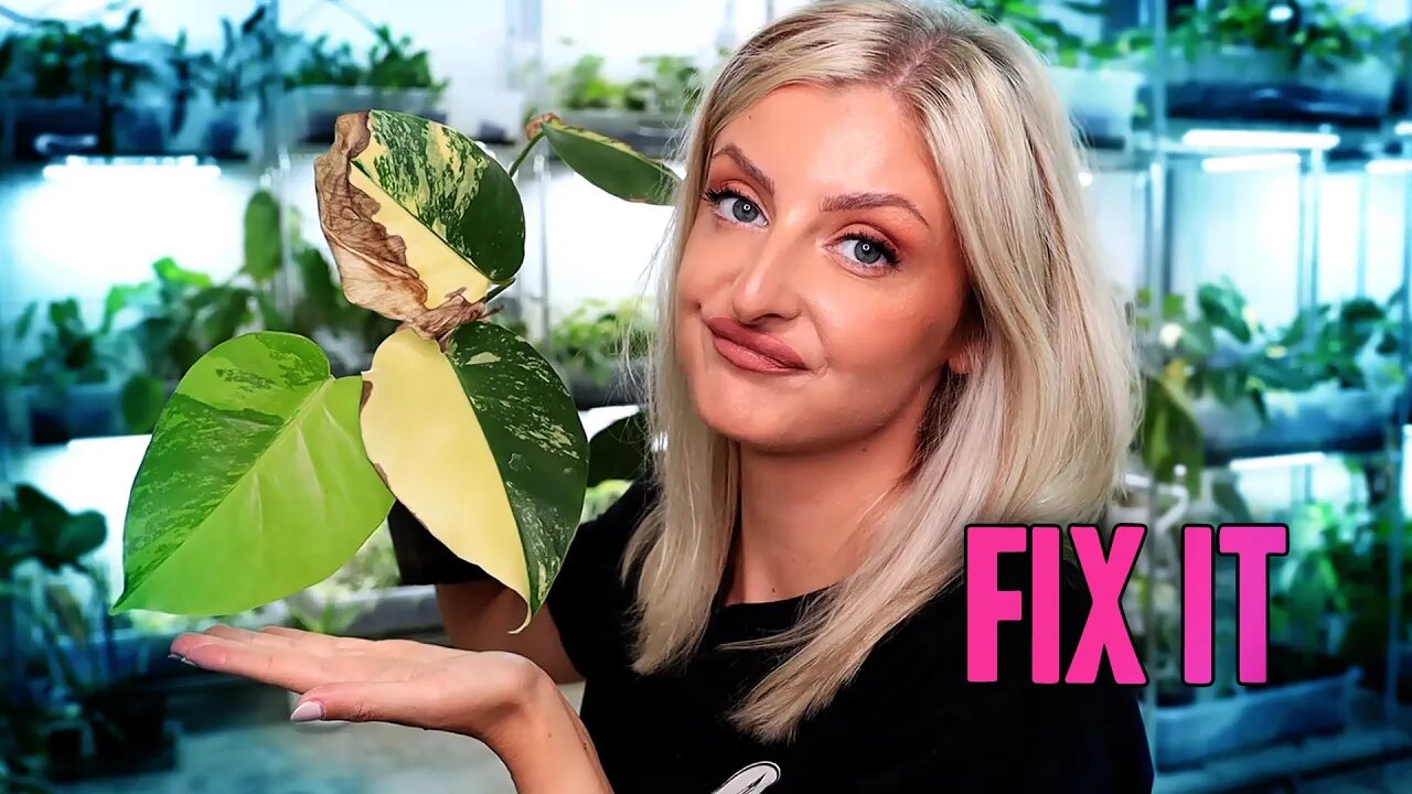 TOP 5 Plant Pet Peeves and how to fix them!