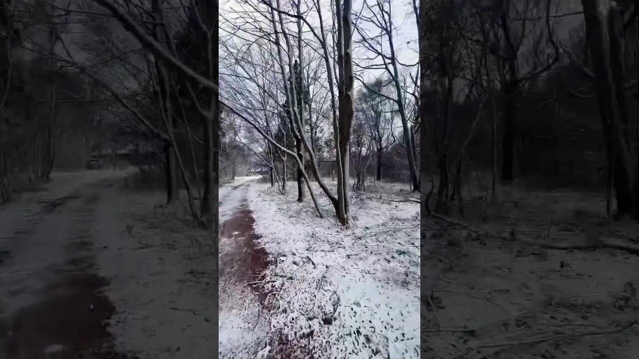 Snow has Finally Fallen in Canada