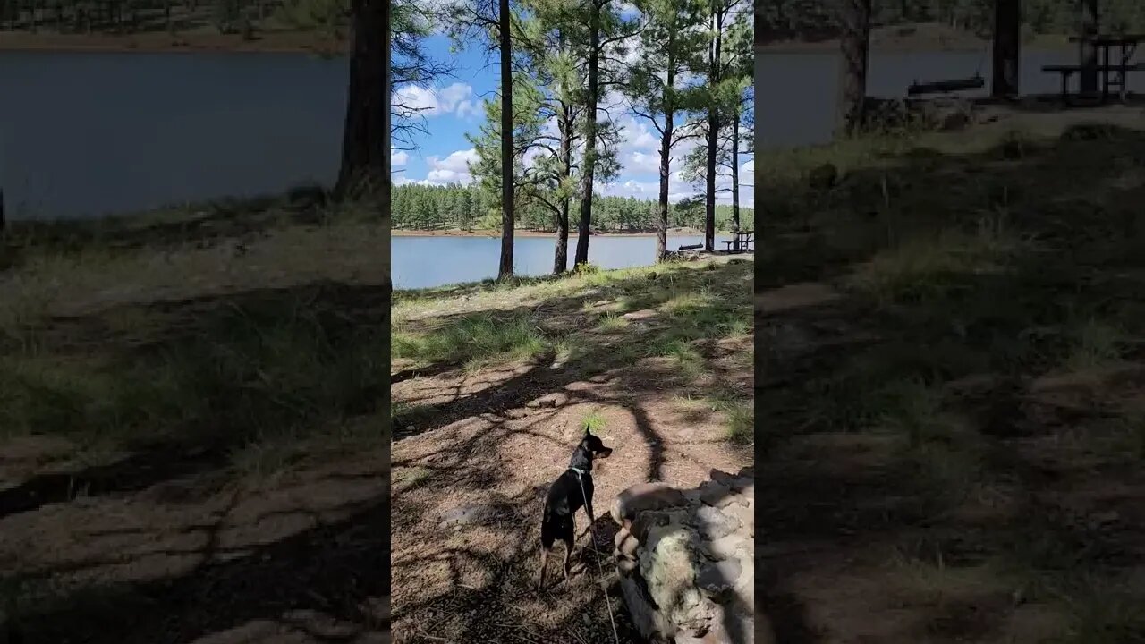 Dogtown lake day use area