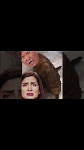 #biden #funny #bidenbudget #greenscreen #2ndamendment #latestmeme #comedy #borderissue #meme