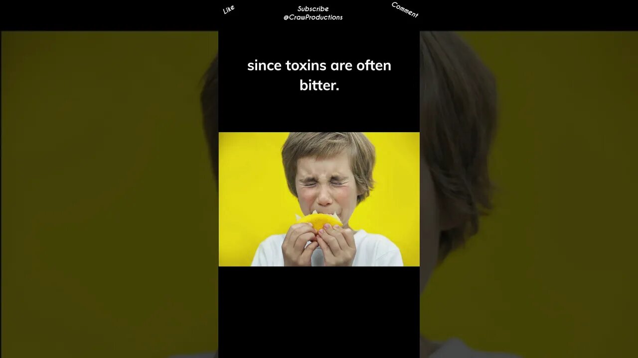 Children’s dislike for bitter foods