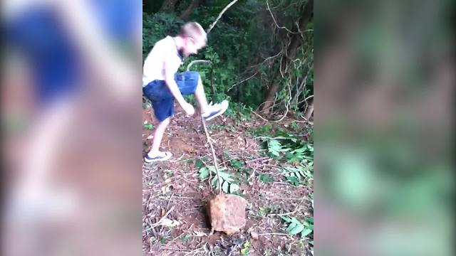 Tree Slingshot Backfires on Boys