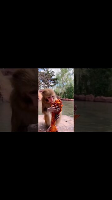 Most Amazing and trending video||relaxing your mind||trendig videos|| #shorts #trending #viral #live