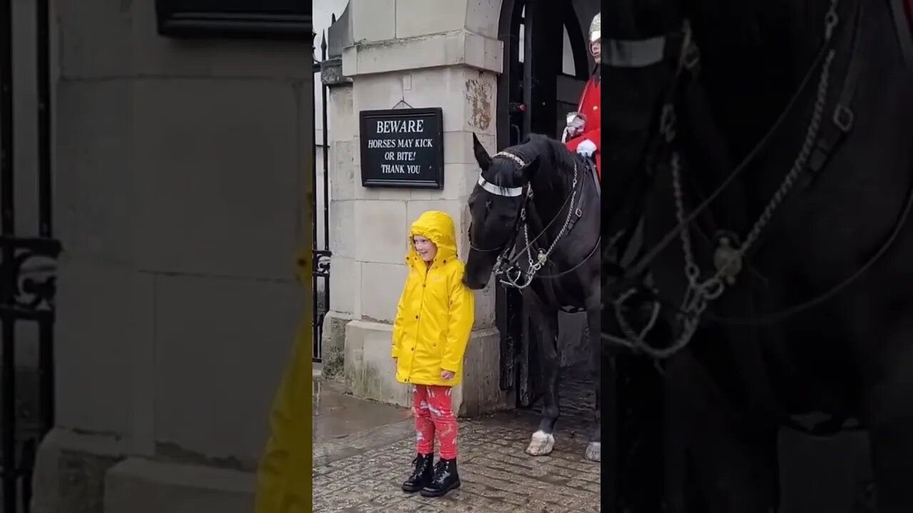reminds of the scene from the movie it with pennywise #horseguardsparade