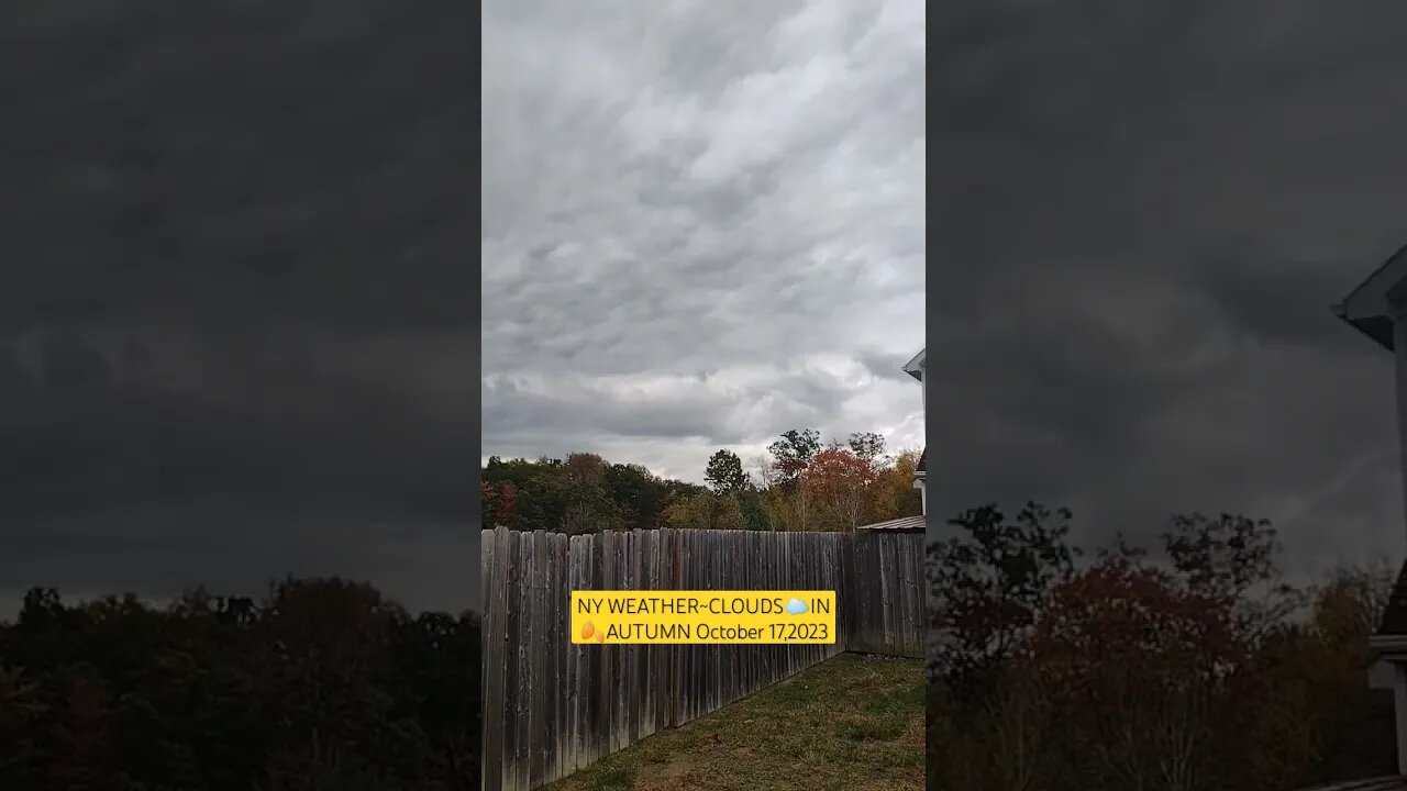 NY WEATHER~CLOUDS☁️ & AUTUMN 🍂10/17/2023 #nyweather