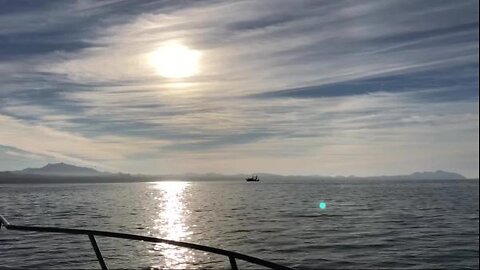 The Calm Waters of Puerto Lobos Mexico