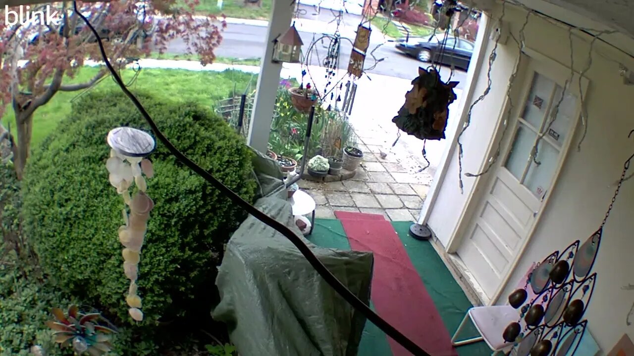 2_WEST_FLOODLIGHT_VIDEO_CAM_2023-04-07T16_35_38-0400.mp4