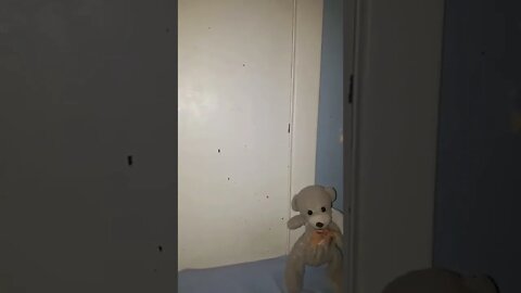 Paramount + Teddy & Friends Watch a YELLOWSTONE MEME