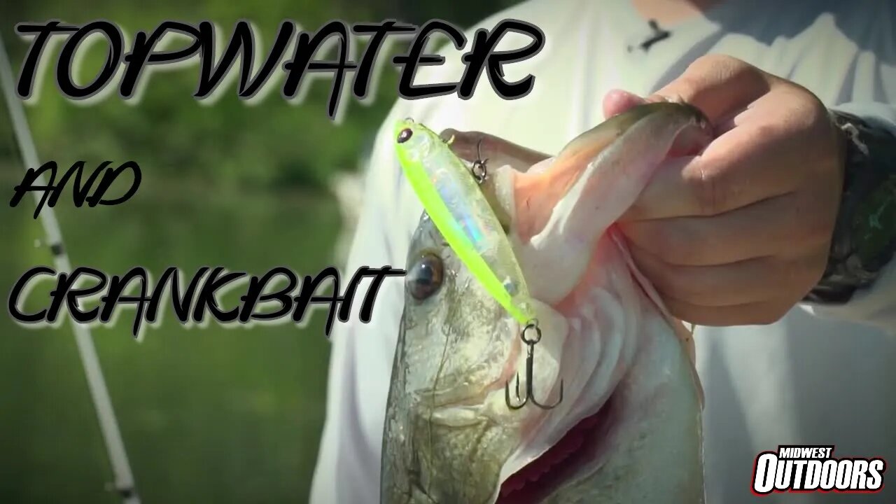 Topwater and Crankbait Fishing with Yo-Zuri