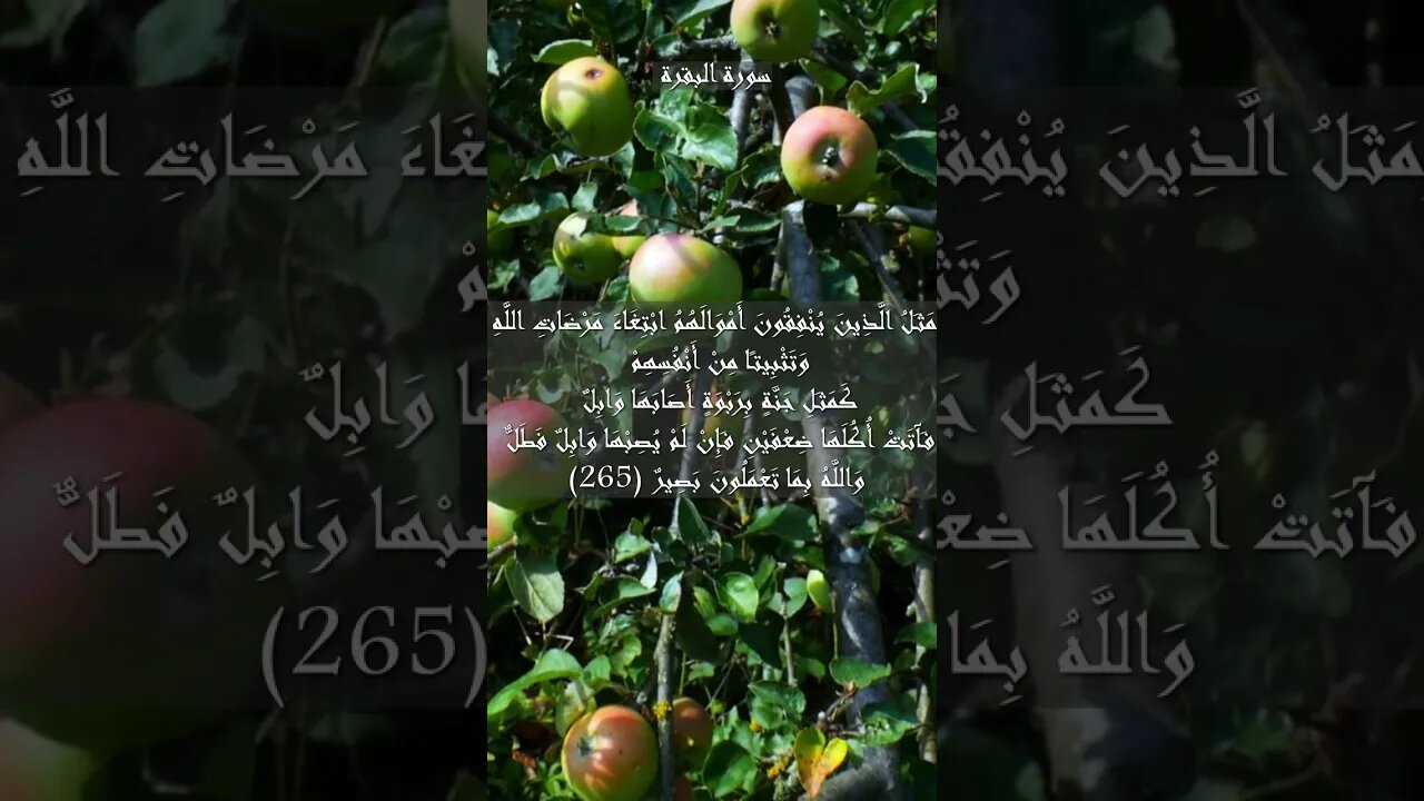 سورة البقرة الآية 265