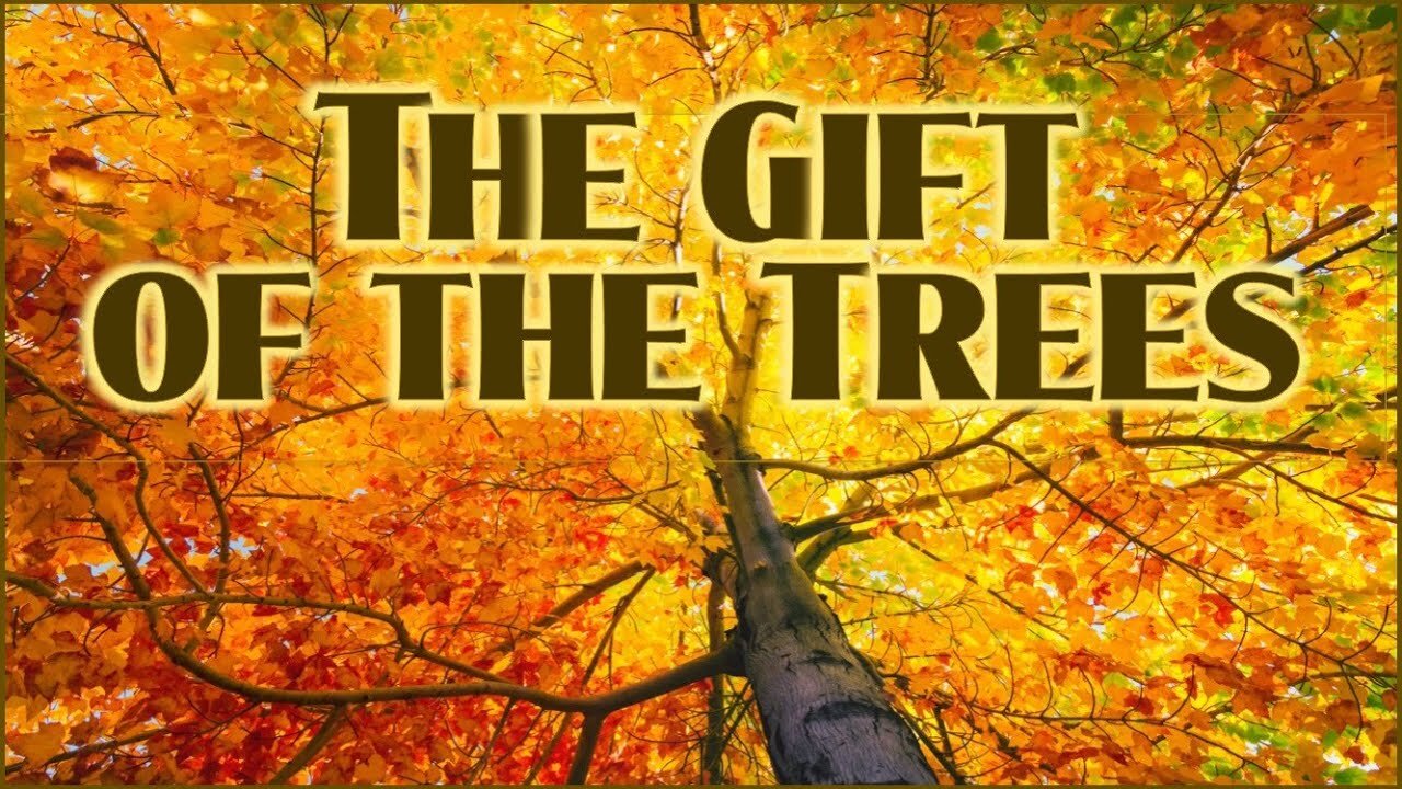 The Gift of The Trees