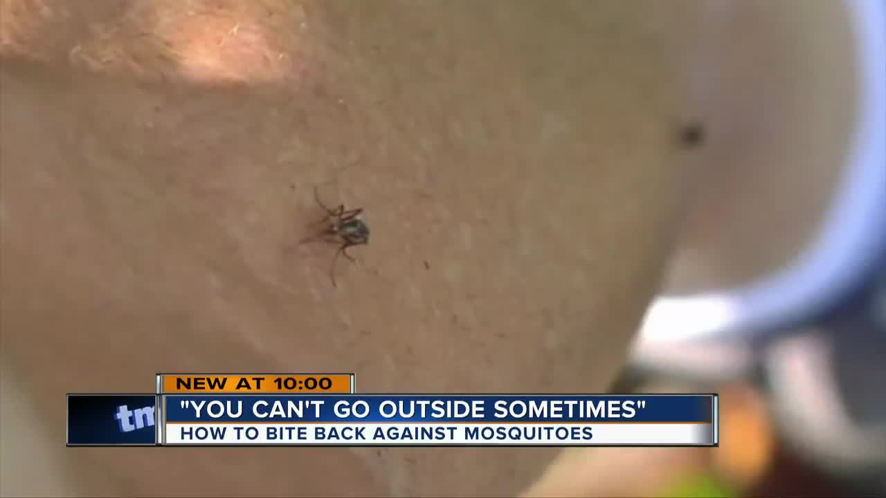 Expect more mosquitoes this summer