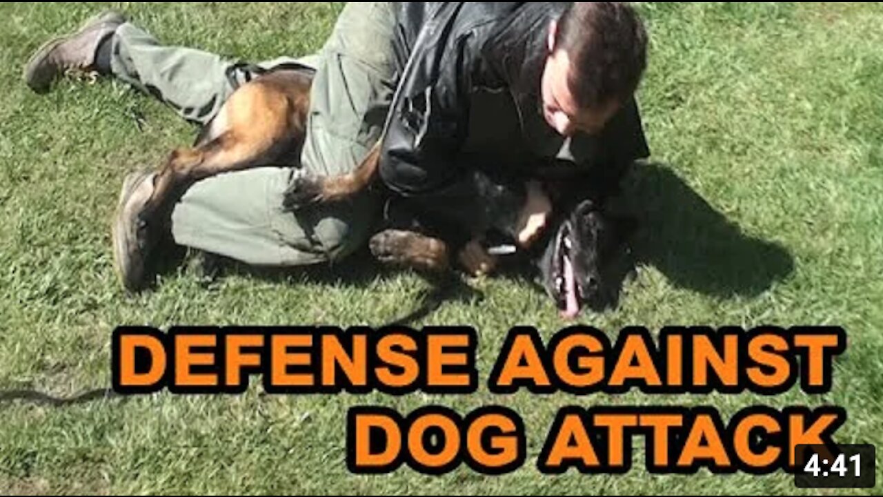 Self defense against an attacking dog