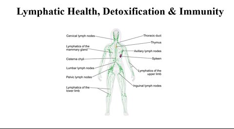 Lymph System Supplements - Health, Detoxification & Immunity