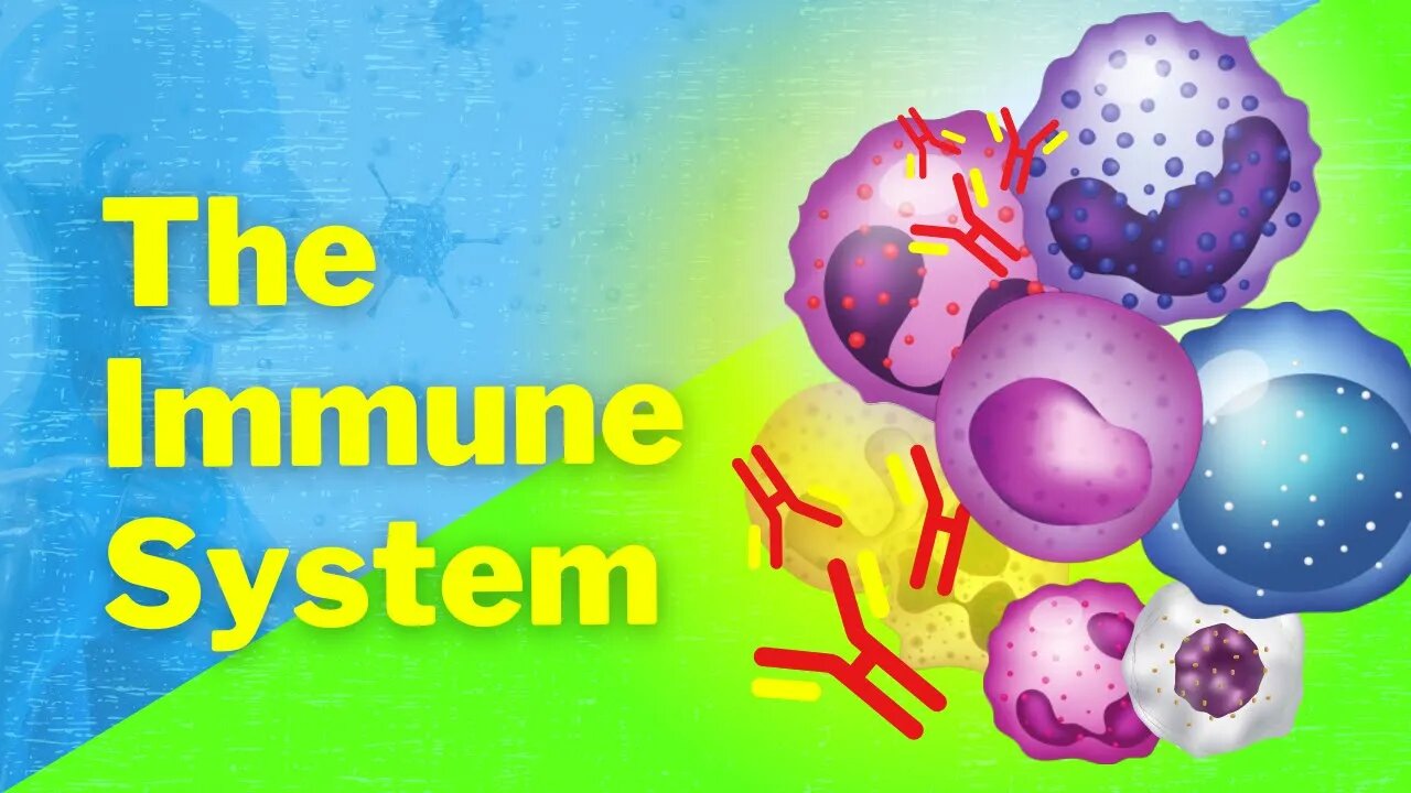 An Introduction to the Immune System