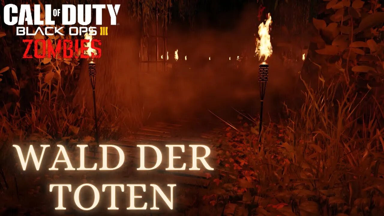 Call of Duty Wald Der Toten Custom zombies