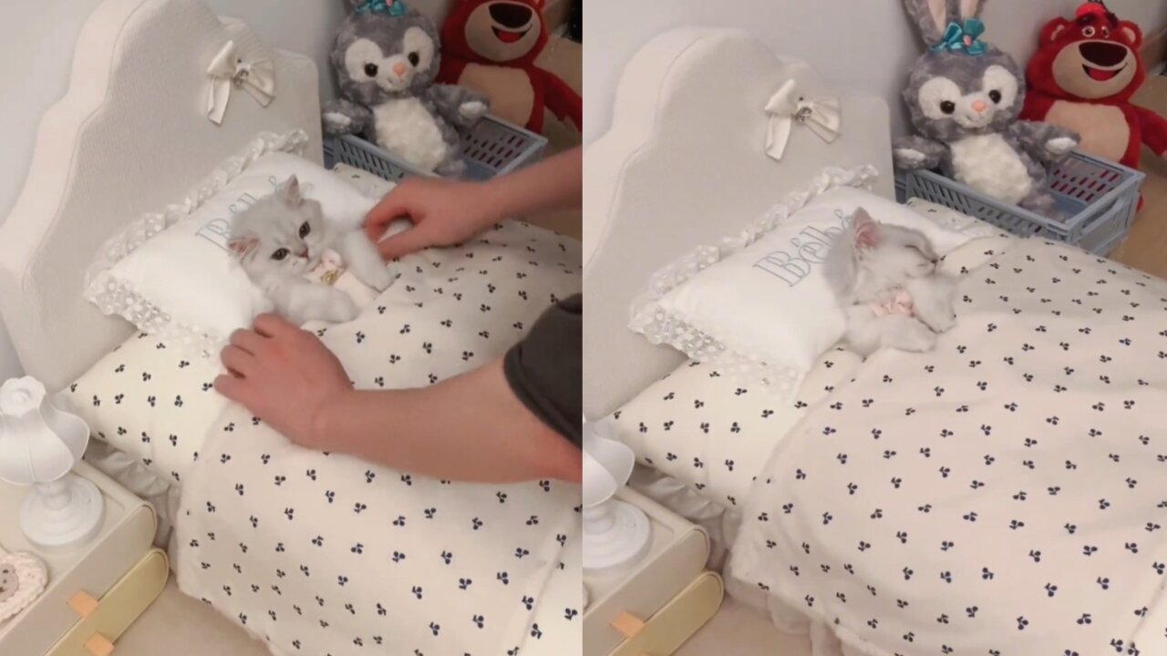It's time to sleep